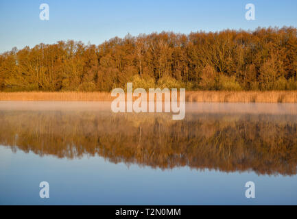 01. April 2019, Brandenburg, Groß Schulmeisterschaft: Das Ufer am Naturschutzgebiet Groß Schauener Seenkette strahlt in das warme Licht der aufgehenden Morgensonne. Große Bereiche des geschützten Bereich gehören der Sielmann Naturlandschaft. Foto: Patrick Pleul/dpa-Zentralbild/ZB Stockfoto