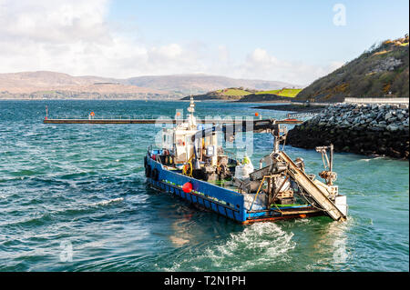 Bantry, West Cork, Irland. 3 Apr, 2019. Ein Fischerboot fährt auf Bantry Bantry Hafen für die Muschel, die Fischgründe in der Bucht. Der Tag ist hell, aber mit starken Nordwind gestartet. Heute Nachmittag wird verlängert Duschen mit Höhen von 6 bis 9°C. Credit: Andy Gibson/Alamy Leben Nachrichten. Stockfoto