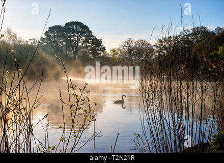 Southampton, Großbritannien. 03 Apr, 2019. UK Wetter. Ein kaltes, helles Start in den Tag mit Licht am frühen Morgen Nebel über dem Zierteich in Southampton. Credit: James Hughes/Alamy leben Nachrichten Stockfoto