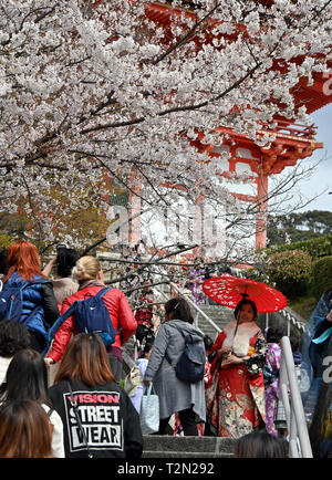 April 2, 2019, Kyoto, Japan - Die schmale und steile Straße mit Kopfsteinpflaster zum und vom Kiyomizu-tempel in Kyoto wird durch endlose Wellen von ausländischen Touristen am Dienstag überwältigt, 2. April 2019. Mit Rekordzahlen von Touristen dieses alten kaiserlichen Hauptstadt Besuch in Western Japan letztes Jahr, überfüllten Websites und Staus waren die wichtigsten Beschwerden von sowohl ausländische als auch japanische Besucher der Stadt geäußert. (Foto von Natsuki Sakai/LBA) Stockfoto