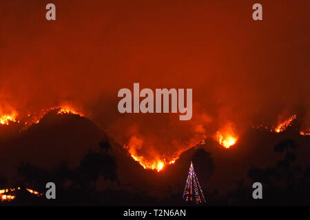 Carpinteria, CA, USA. 11 Dez, 2017. Ein chirstmas Baum Dekoration leuchtet in einem evakuierten in Carpinteria, während die Flammen aus dem Thomas Feuer brennen. Credit: Mike Eliason/ZUMA Draht/Alamy leben Nachrichten Stockfoto