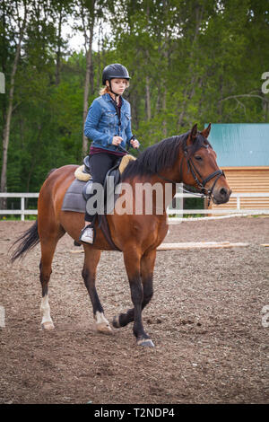 Reiten Lektionen, junges Mädchen reitet braunes Pferd auf Reiten Feld, vertikale Foto Stockfoto