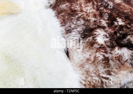Fluffy Sheep Skins mit weichen, weißen und roten Fell werden manuell closeup Hintergrund bearbeitet Stockfoto