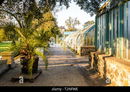 East Side Gewächshäuser im Jardin des Serres d'Auteuil, einen botanischen Garten in Paris, Frankreich. Stockfoto