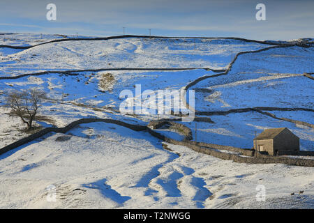 Eine Scheune und Trockenmauern heben Sie sich von der verschneiten Landschaft von Littondale, nahe dem Dorf Arncliffe in den Yorkshire Dales, Großbritannien Stockfoto