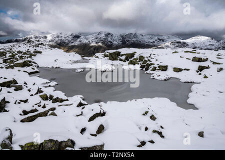 Eisige Tarn auf dem Gipfel des Crinkle Crags, in Richtung der Scafell, Lake District, Cumbria suchen Stockfoto