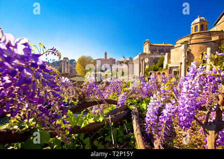 Historische Forum Romanum in Rom scenic Frühling, Hauptstadt von Italien Stockfoto