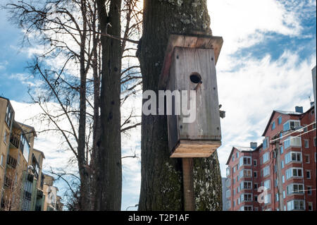 Eine urbane, Innere Stadt birdbox im Frühling. Stockfoto