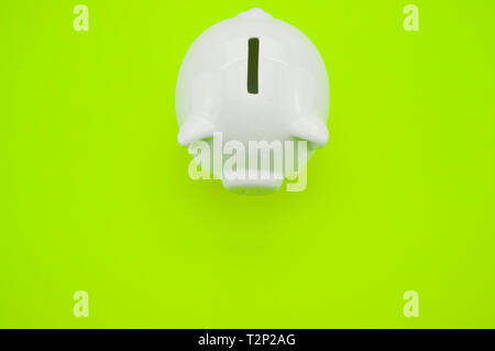 Weiß Sparschwein auf einer grünen Fläche - Investitionen und Einsparungen Konzept Stockfoto