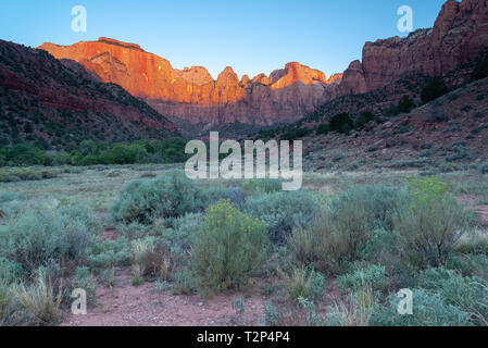 Sonnenaufgang über den Türmen der Jungfrau im Zion National Park, Utah, USA Stockfoto