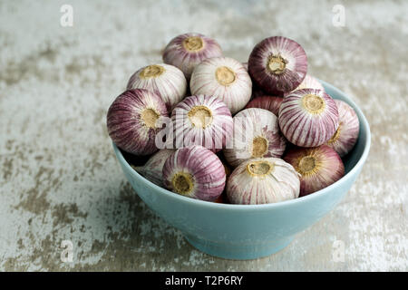 Ganze Lampen der chinesische Knoblauch in blaue Schale Stockfoto