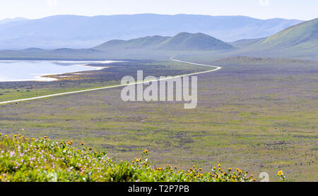 Frühling Landschaft in Carrizo Plain National Monument, zentralen Kalifornien Stockfoto