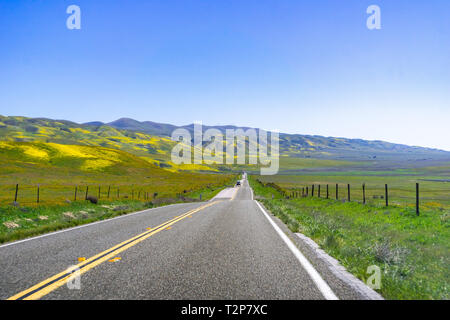 Asphaltierte Straße durch die Berge in Wildblumen bedeckt, Carrizo Plain National Monument, zentralen Kalifornien Stockfoto