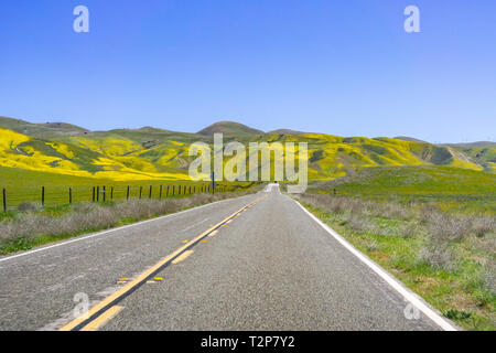 Asphaltierte Straße durch die Berge in Wildblumen bedeckt, Carrizo Plain National Monument, zentralen Kalifornien Stockfoto