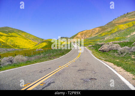 Asphaltierte Straße durch die Berge in Wildblumen bedeckt, Carrizo Plain National Monument, zentralen Kalifornien Stockfoto