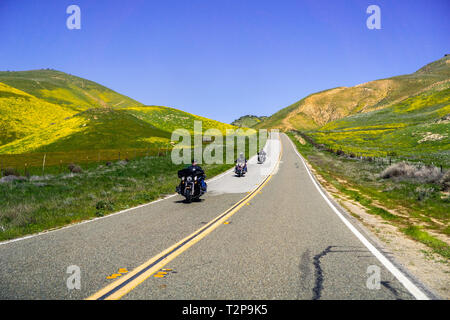 März 16, 2019 Carrizo Plain National Monument/CA/USA - Biker Reiten durch die Hügel und Täler in Wildblumen bedeckt Stockfoto