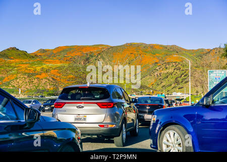 März 16, 2019 See Elsinore/CA/USA - Autos durch die Hügel in Kalifornien Mohn während des superbloom in Süd Kalifornien überdachte Driving Stockfoto