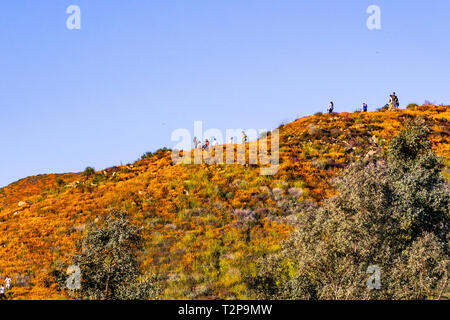 März 16, 2019 See Elsinore/CA/USA - die Leute, die der Walker Canyon Area während der superbloom; Kalifornien Mohnblumen blühen auf dem Berg ri Stockfoto