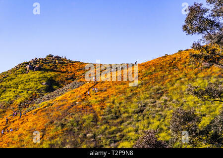 März 16, 2019 See Elsinore/CA/USA - die Leute, die der Walker Canyon Area während der superbloom; Kalifornien Mohnblumen blühen auf dem Berg ri Stockfoto