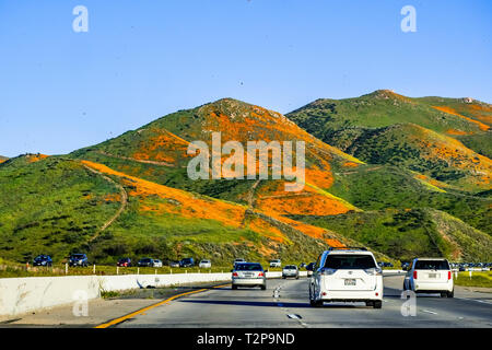 März 16, 2019 See Elsinore/CA/USA - Autos durch die Hügel in Kalifornien Mohn während des superbloom in Süd Kalifornien überdachte Driving Stockfoto