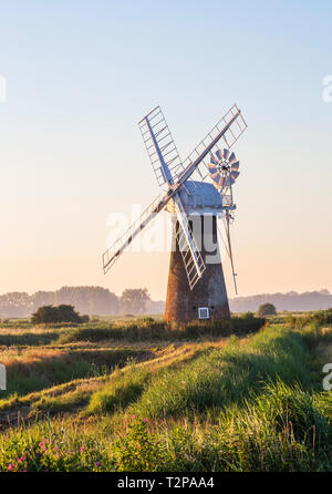 Thurne, Norfolk, Großbritannien, 19. Juli 2016 - Übersicht Thurne Windpump auf der Norfolk Broadlands, das ursprünglich gebaut wurde das Wasser um die nassen Flächen zur Pumpe Stockfoto