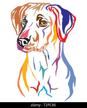 Bunt dekorativ Umrisse Portrait von Rhodesian Ridgeback Hund suchen im Profil, Vector Illustration in verschiedenen Farben isoliert auf weißem backgrou Stock Vektor