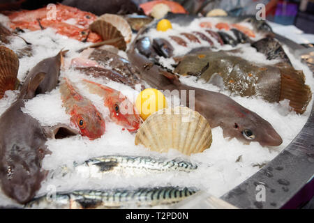 Große Auswahl an Fisch und Meeresfrüchten markt Anzeige Stockfoto