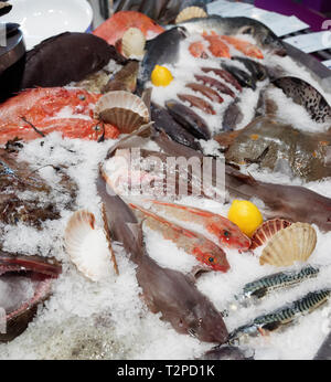 Große Auswahl an Fisch und Meeresfrüchten markt Anzeige Stockfoto