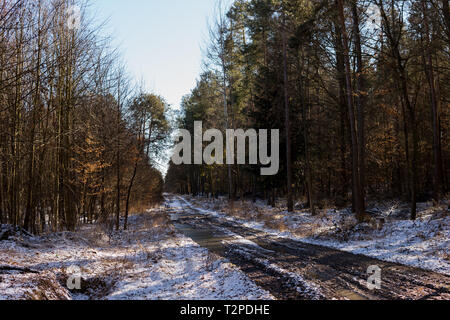 Schlammigen Boden Straße mit Rut durch einen Wald im Winter Stockfoto