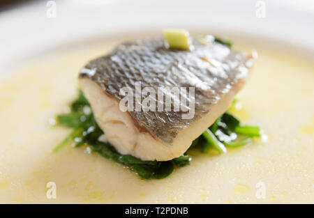 Einfach, aber lecker Stück gedämpft Seebarschfilet Stockfoto