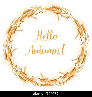 Der Kranz von Weizen Ohren auf weißem Hintergrund Stock Vektor