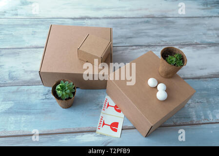 Drei unterschiedlich große Schachteln und zwei Töpfe mit grünen Pflanzen und schwachen Zeichen selektiven Fokus Stockfoto