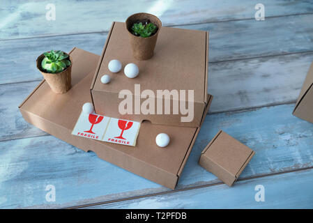 Drei unterschiedlich große Schachteln und zwei Töpfe mit grünen Pflanzen und schwachen Zeichen horizontale Schuß selektiven Fokus Stockfoto