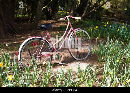 Ein altes Fahrrad steht als Gartenschmuck im Bear Creek Park, Surrey, British Columbia, Kanada Stockfoto