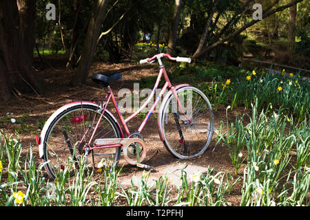 Ein altes Fahrrad steht als Gartenschmuck im Bear Creek Park, Surrey, British Columbia, Kanada Stockfoto