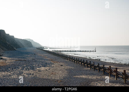 Die Stapel an der West Runton Strand, Norfolk Stockfoto