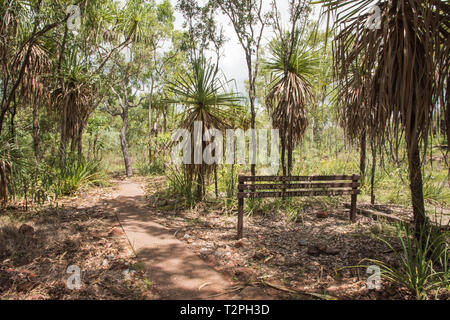 Wegweiser mit tropischen Flora in den Litchfield National Park im Northern Territory von Australien Stockfoto