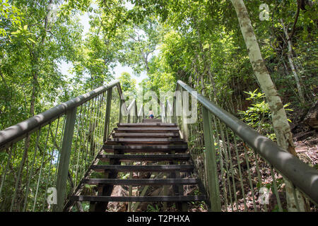 Litchfield, Northern Territory, Australia-December 24,2017: Aufsteigend Treppe durch das üppige Buschland im Litchfield National Park, der im NT. Stockfoto