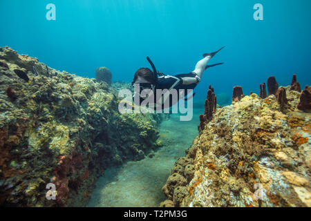 Schnorchler, erkundet Korallenriff, Soufrière, Dominica, Karibik Stockfoto