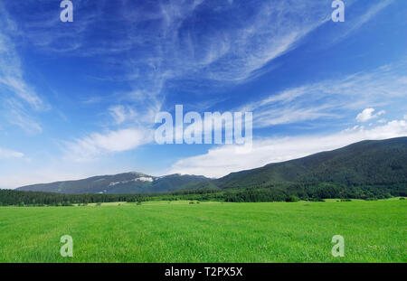 Landschaft, Blick auf die grünen Felder, blauer Himmel und weiße Wolken im Hintergrund Stockfoto