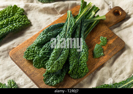 Gesunde organische Grün Lacinato Grünkohl bereit zu Kochen Stockfoto