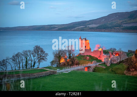 Sitzt neben Urquhart Castle Loch Ness in den Highlands von Schottland in der Nähe von Loch Ness in Schottland, Vereinigtes Königreich Stockfoto