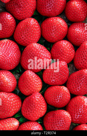 Nahaufnahme von viele frische reife Erdbeeren flach Stockfoto