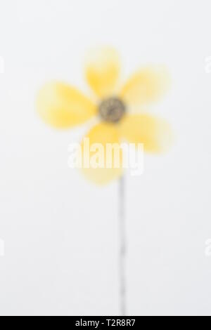 Unfocused Aquarell gelbe Blume auf weißem Papier Stockfoto