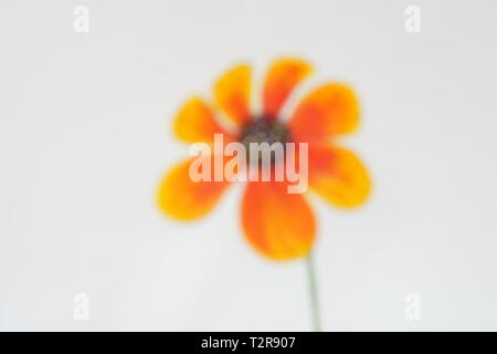 Unfocused Aquarell orange Blumen auf weißem Papier Stockfoto