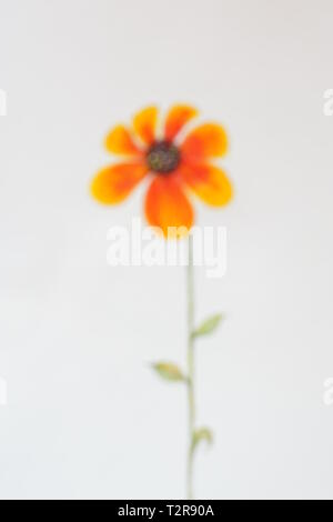 Unfocused Aquarell orange Blumen auf weißem Papier Stockfoto