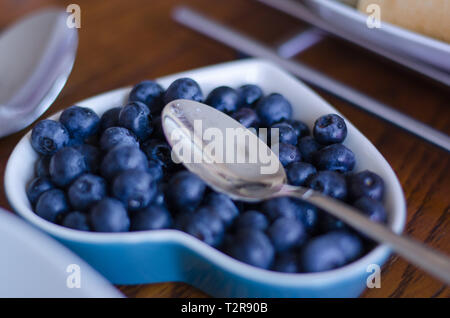 Frische Heidelbeeren in Gruppe in eine kleine Schüssel mit dem Löffel darin platziert. Stockfoto