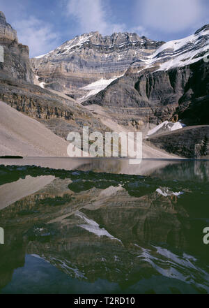 Kanada, British Columbia, Yoho National Park, Mt. Lefroy reflektiert in Lake Oesa. Stockfoto