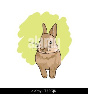 Cute isoliert Osterhase Vector Illustration auf Weiß Stock Vektor