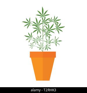 Cannabis marihuana Pflanze im Blumentopf Vektor-illustration EPS 10. Stock Vektor